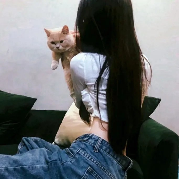 恋情告急